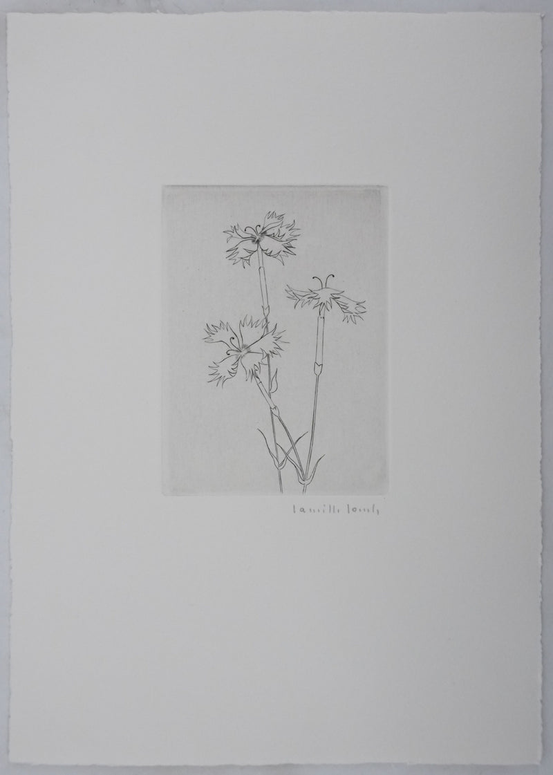 Camille COMBE : Dentelle végétale, Gravure originale signée