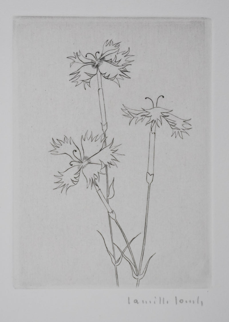 Camille COMBE : Dentelle végétale, Gravure originale signée