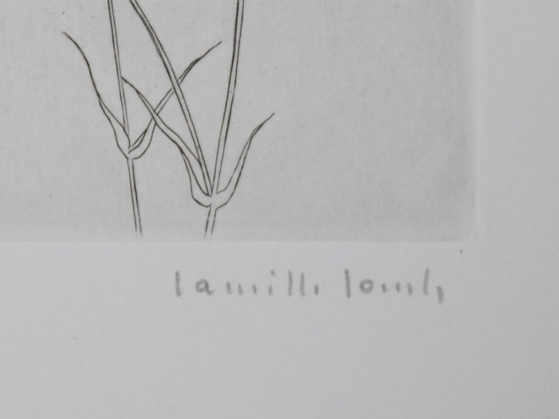 Camille COMBE : Dentelle végétale, Gravure originale signée