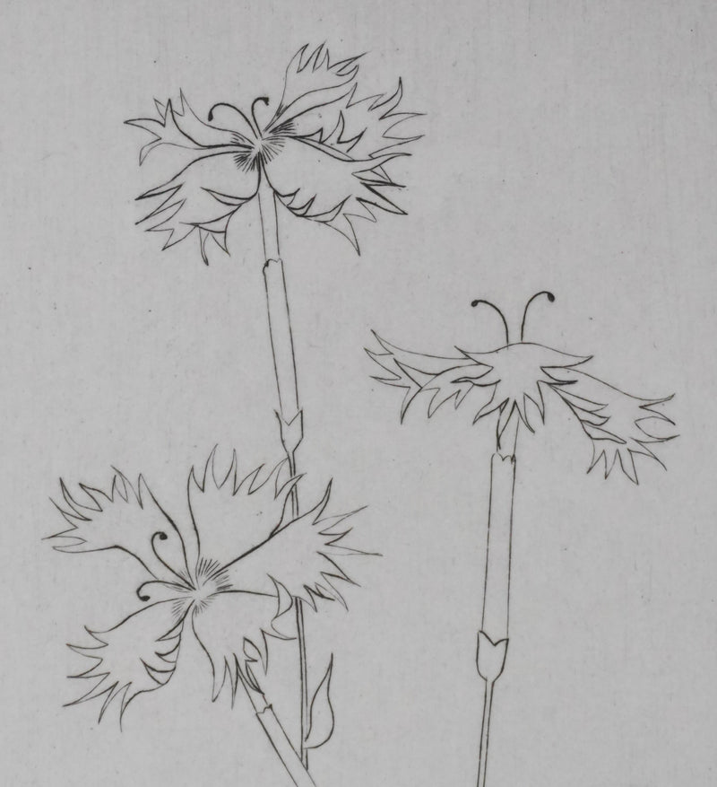 Camille COMBE : Dentelle végétale, Gravure originale signée