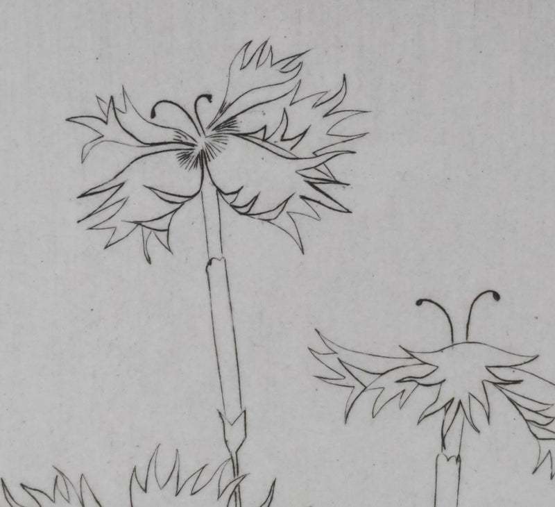 Camille COMBE : Dentelle végétale, Gravure originale signée