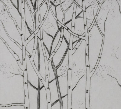 Camille COMBE : Forêt légère, Gravure originale signée