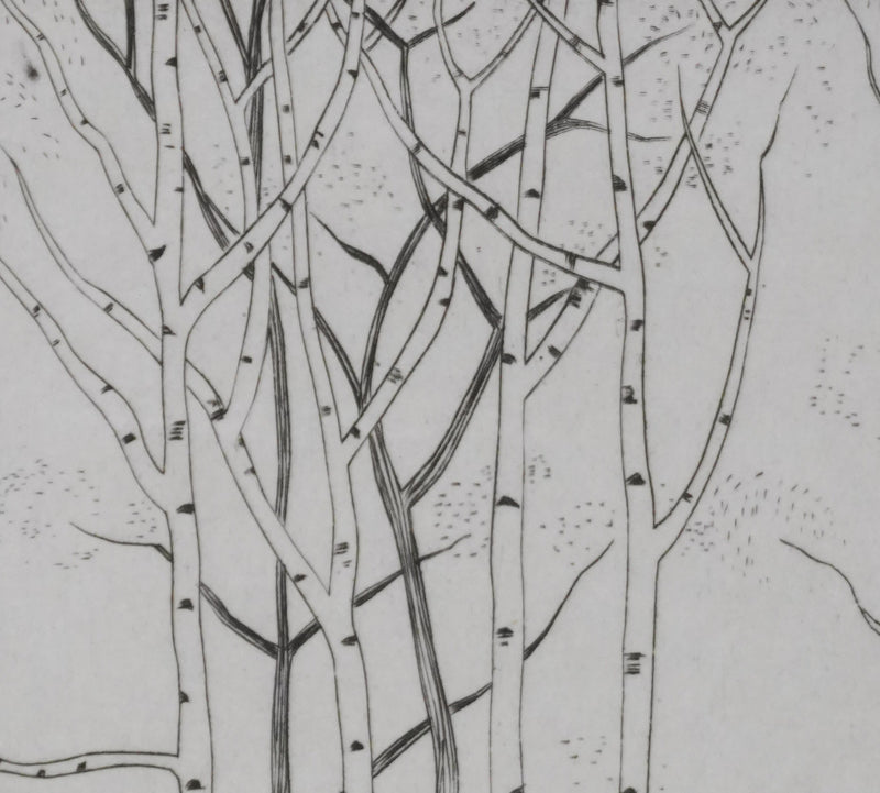 Camille COMBE : Forêt légère, Gravure originale signée