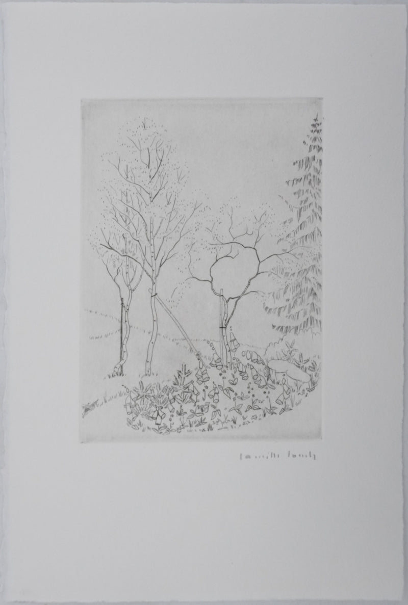 Camille COMBE : Nature en dialogue, Gravure originale signée