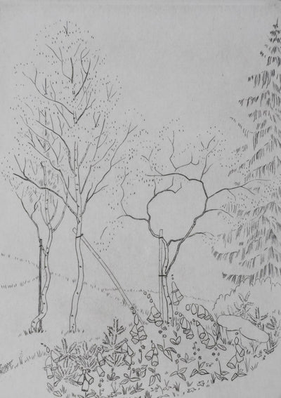Camille COMBE : Nature en dialogue, Gravure originale signée