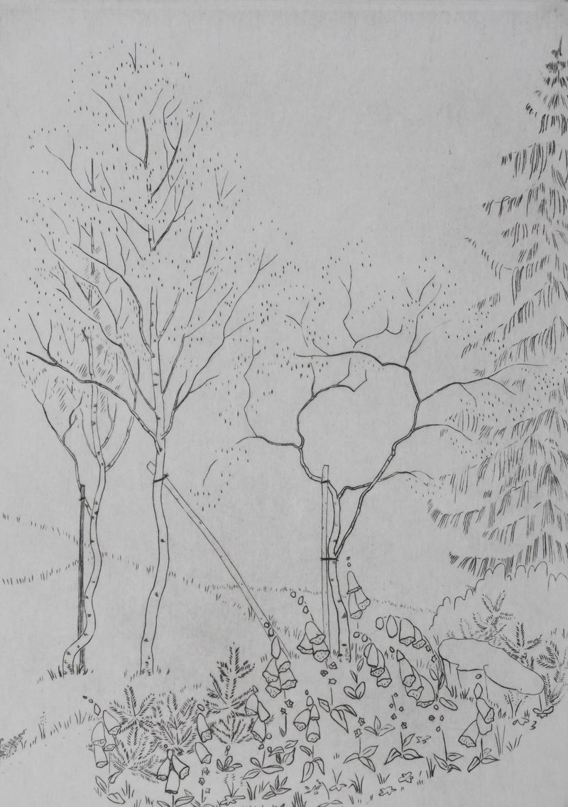 Camille COMBE : Nature en dialogue, Gravure originale signée