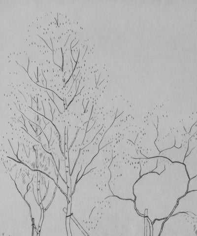 Camille COMBE : Nature en dialogue, Gravure originale signée