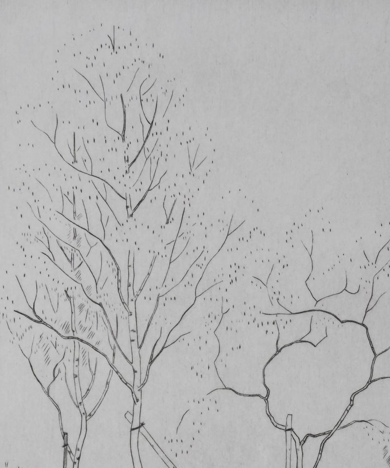 Camille COMBE : Nature en dialogue, Gravure originale signée