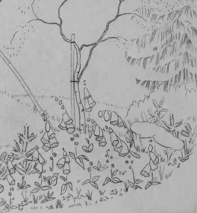 Camille COMBE : Nature en dialogue, Gravure originale signée