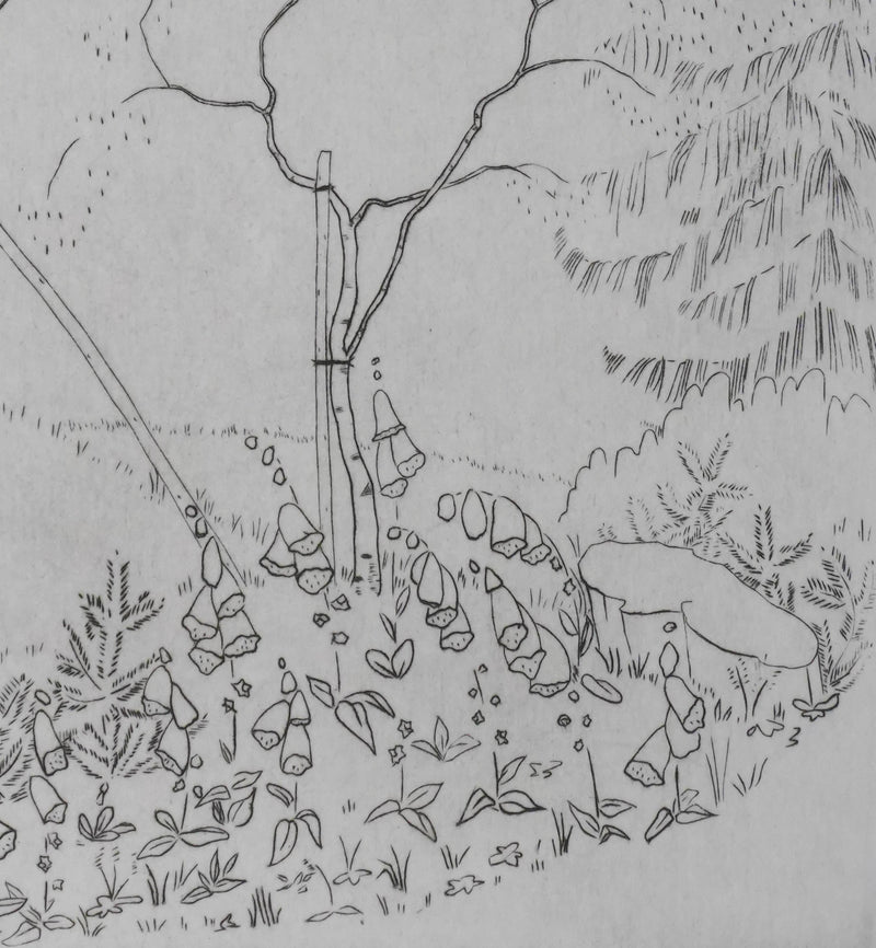 Camille COMBE : Nature en dialogue, Gravure originale signée