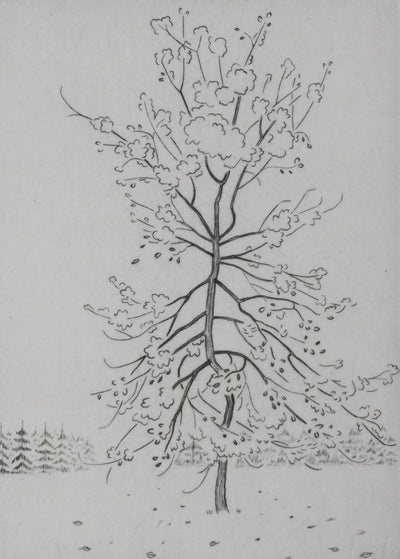 Camille COMBE : L'arbre sur la route, Gravure originale signée