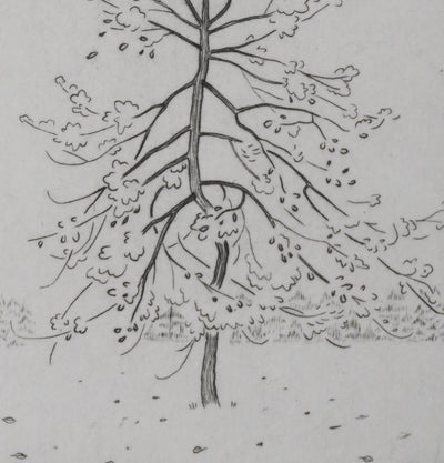 Camille COMBE : L'arbre sur la route, Gravure originale signée
