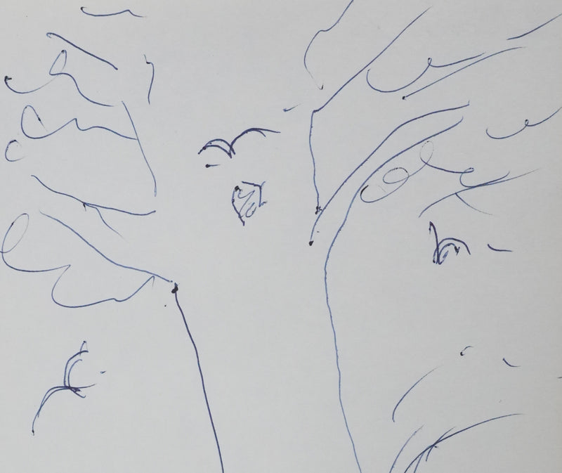 Raymond DEVOS : Le tronc bleu, Autographe et dessin original signé