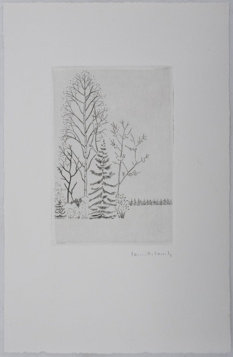 Camille COMBE : Entre les branches, Gravure originale signée