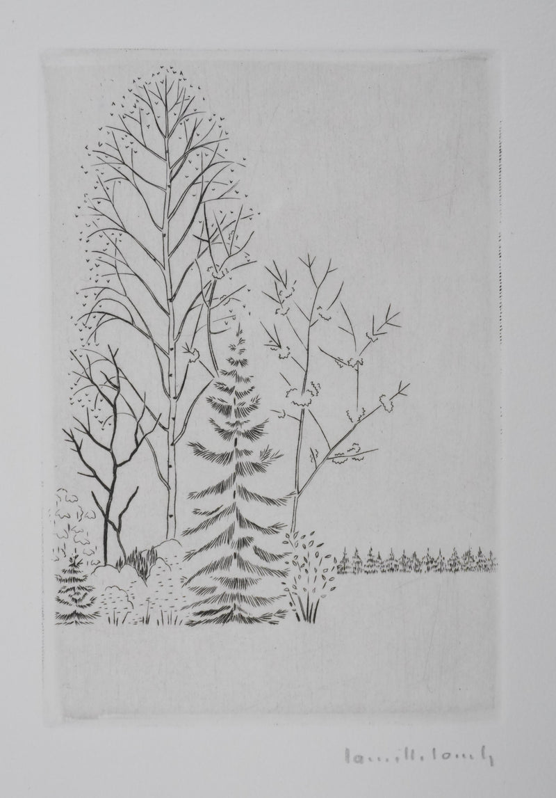 Camille COMBE : Entre les branches, Gravure originale signée