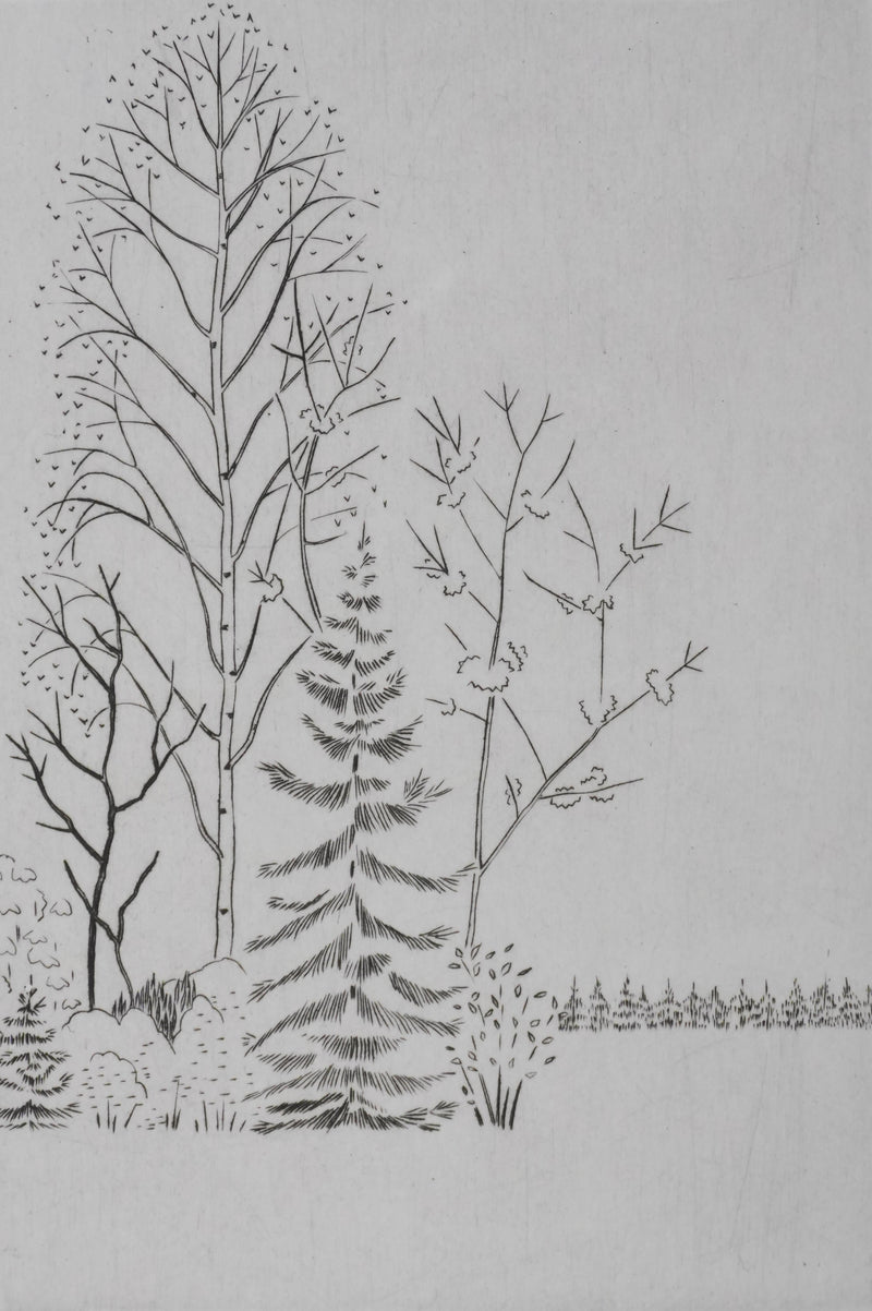 Camille COMBE : Entre les branches, Gravure originale signée