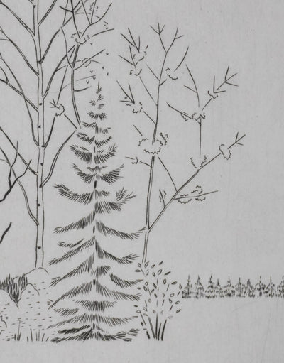 Camille COMBE : Entre les branches, Gravure originale signée