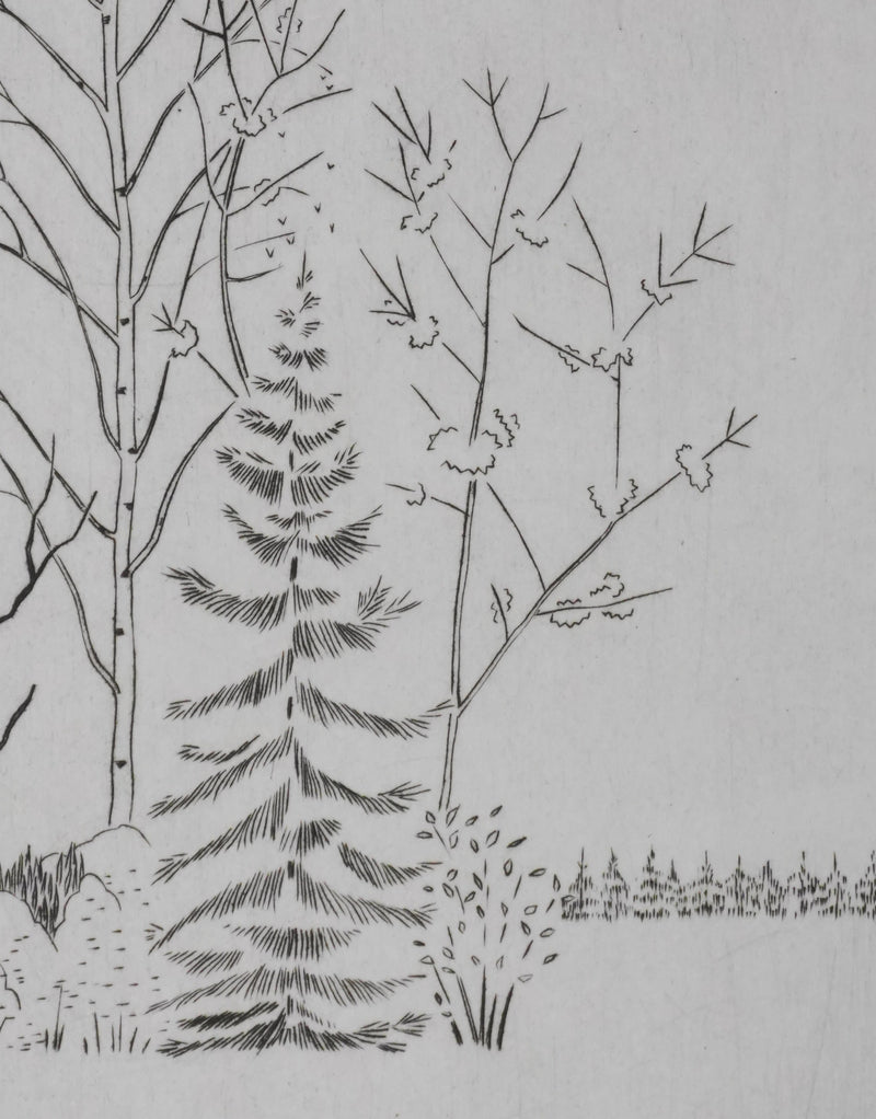Camille COMBE : Entre les branches, Gravure originale signée