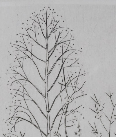 Camille COMBE : Entre les branches, Gravure originale signée