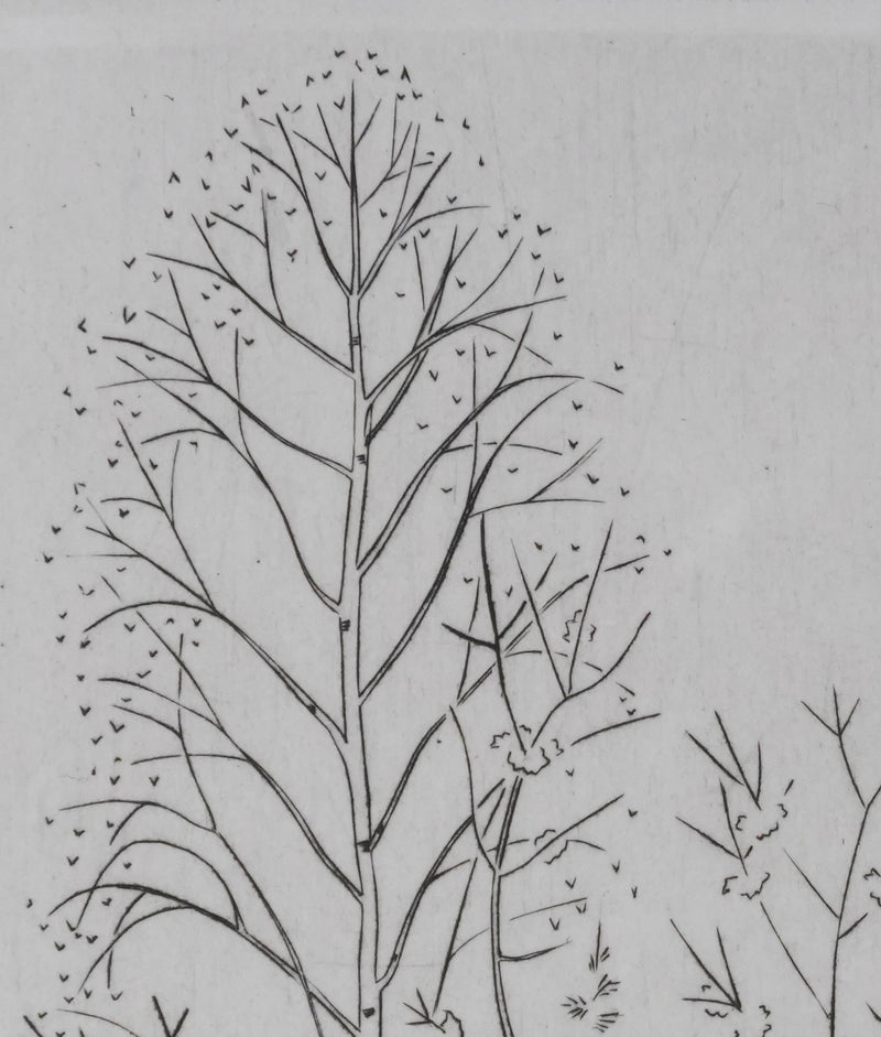 Camille COMBE : Entre les branches, Gravure originale signée
