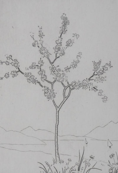 Camille COMBE : Entre les branches, Gravure originale signée
