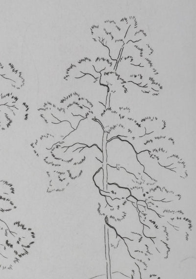 Camille COMBE : Clarté des branches, Gravure originale signée