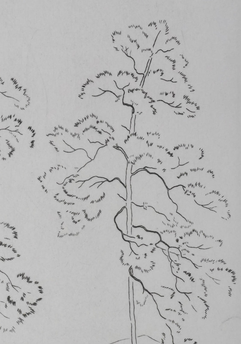 Camille COMBE : Clarté des branches, Gravure originale signée