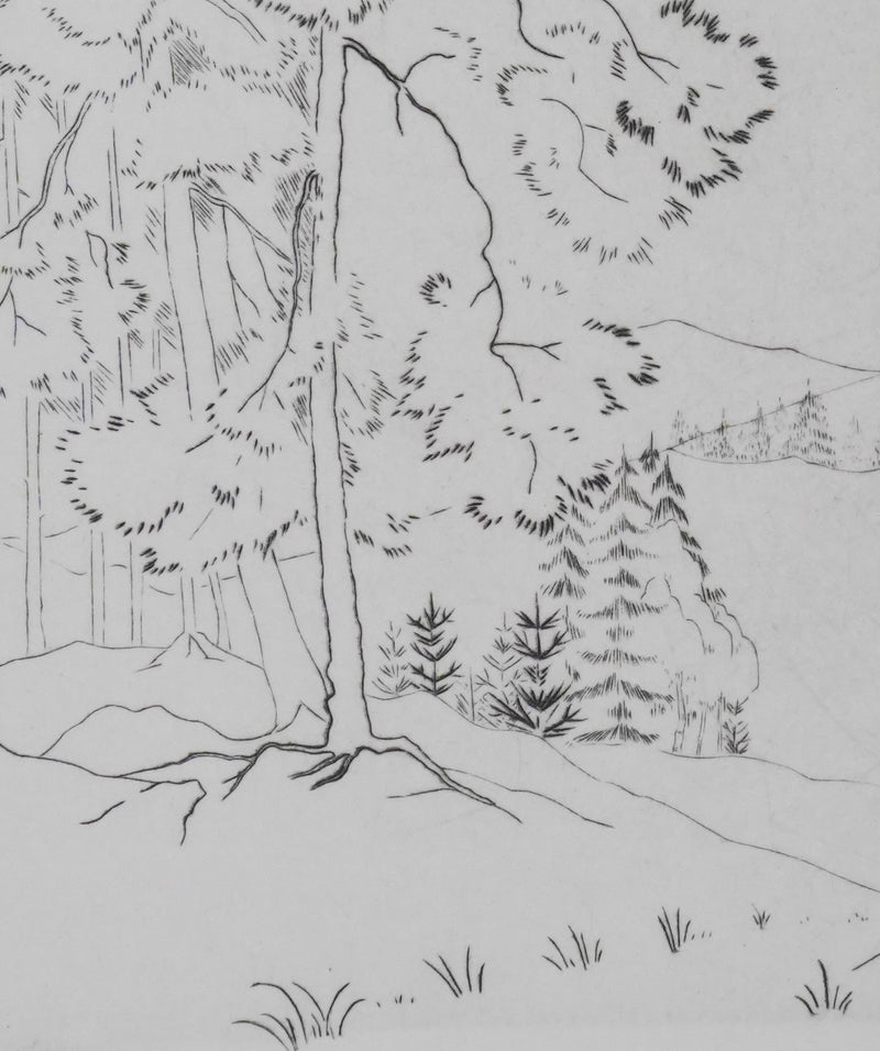 Camille COMBE : Clarté des branches, Gravure originale signée