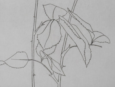 Camille COMBE : Deux roses, Gravure originale signée