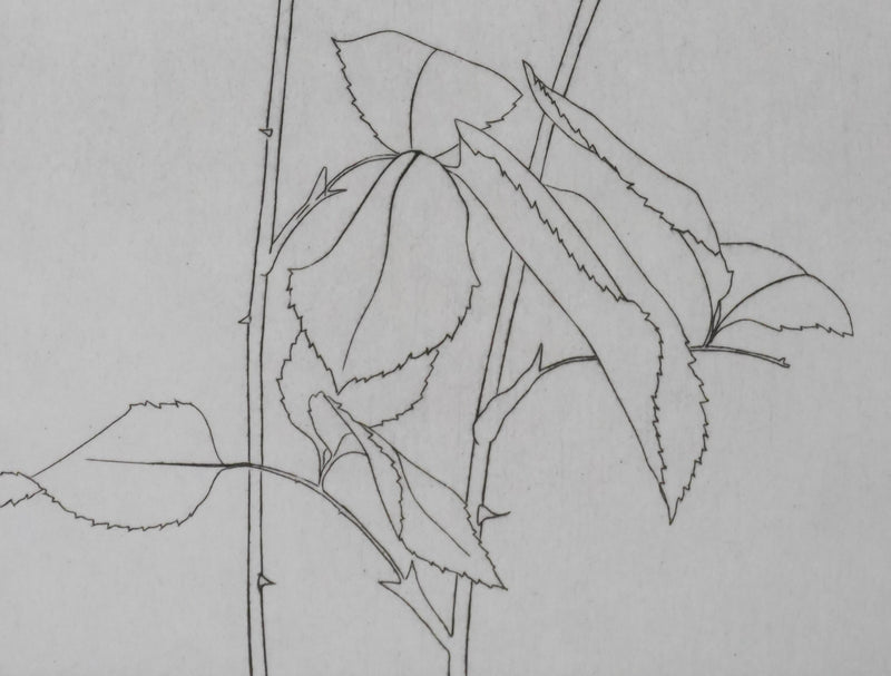 Camille COMBE : Deux roses, Gravure originale signée