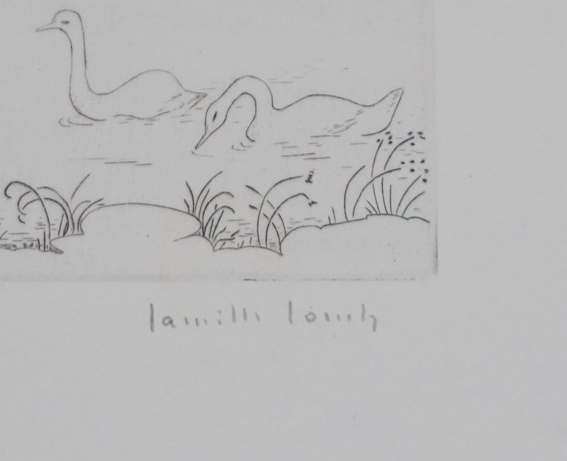 Camille COMBE : Cygnes sur le lac, Gravure originale signée