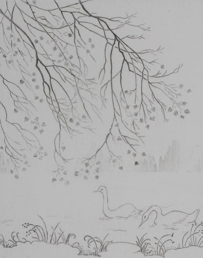 Camille COMBE : Cygnes sur le lac, Gravure originale signée