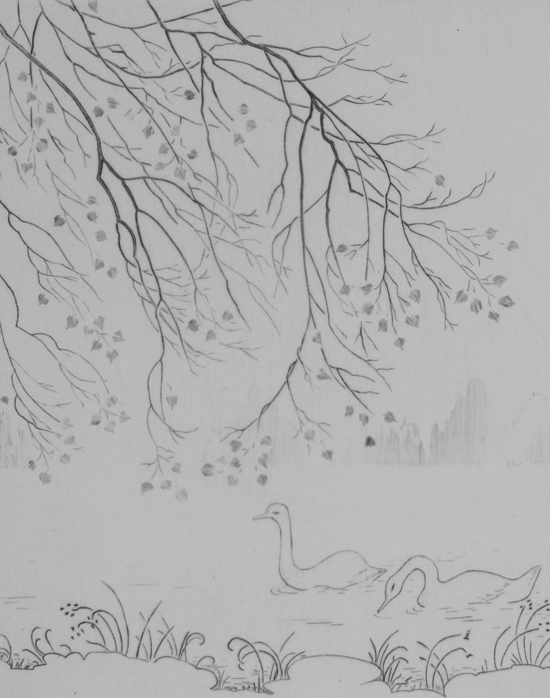 Camille COMBE : Cygnes sur le lac, Gravure originale signée