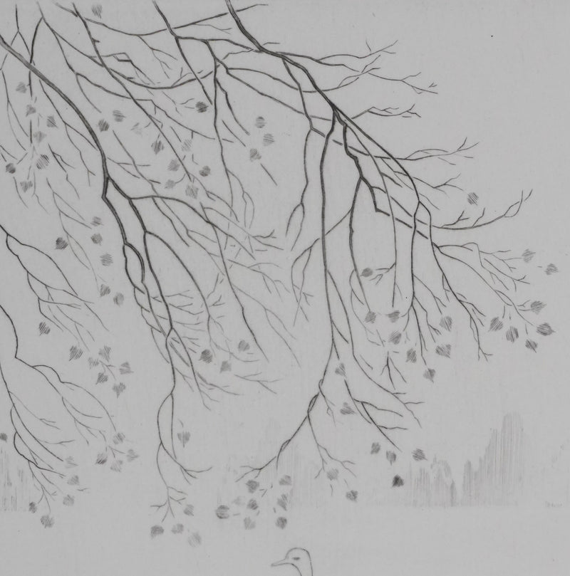 Camille COMBE : Cygnes sur le lac, Gravure originale signée