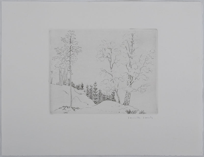 Camille COMBE : Trames végétales, Gravure originale signée