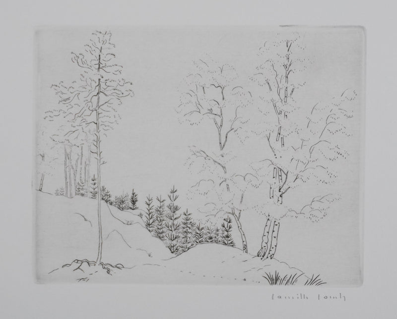 Camille COMBE : Trames végétales, Gravure originale signée