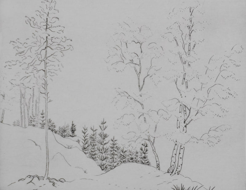 Camille COMBE : Trames végétales, Gravure originale signée