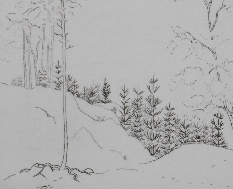 Camille COMBE : Trames végétales, Gravure originale signée