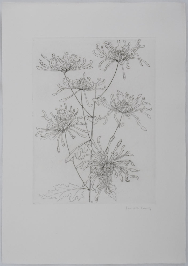 Camille COMBE : Danse florale, Gravure originale signée