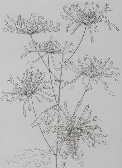 Camille COMBE : Danse florale, Gravure originale signée