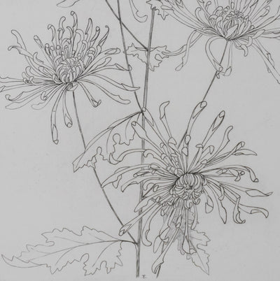 Camille COMBE : Danse florale, Gravure originale signée