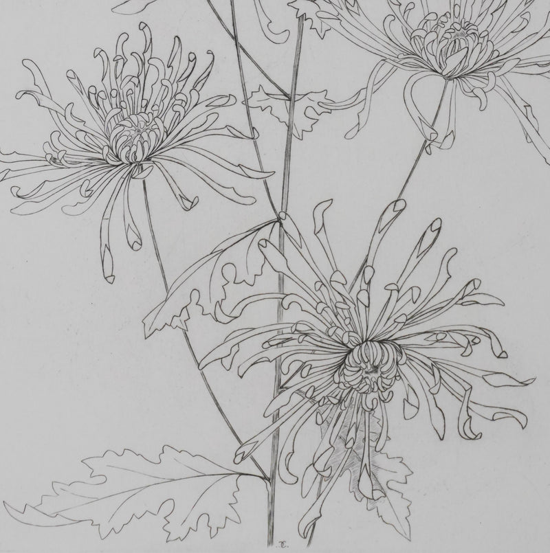 Camille COMBE : Danse florale, Gravure originale signée
