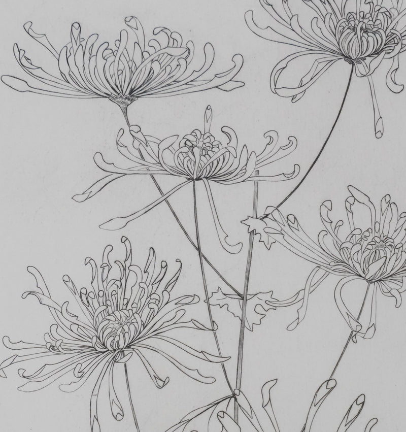 Camille COMBE : Danse florale, Gravure originale signée