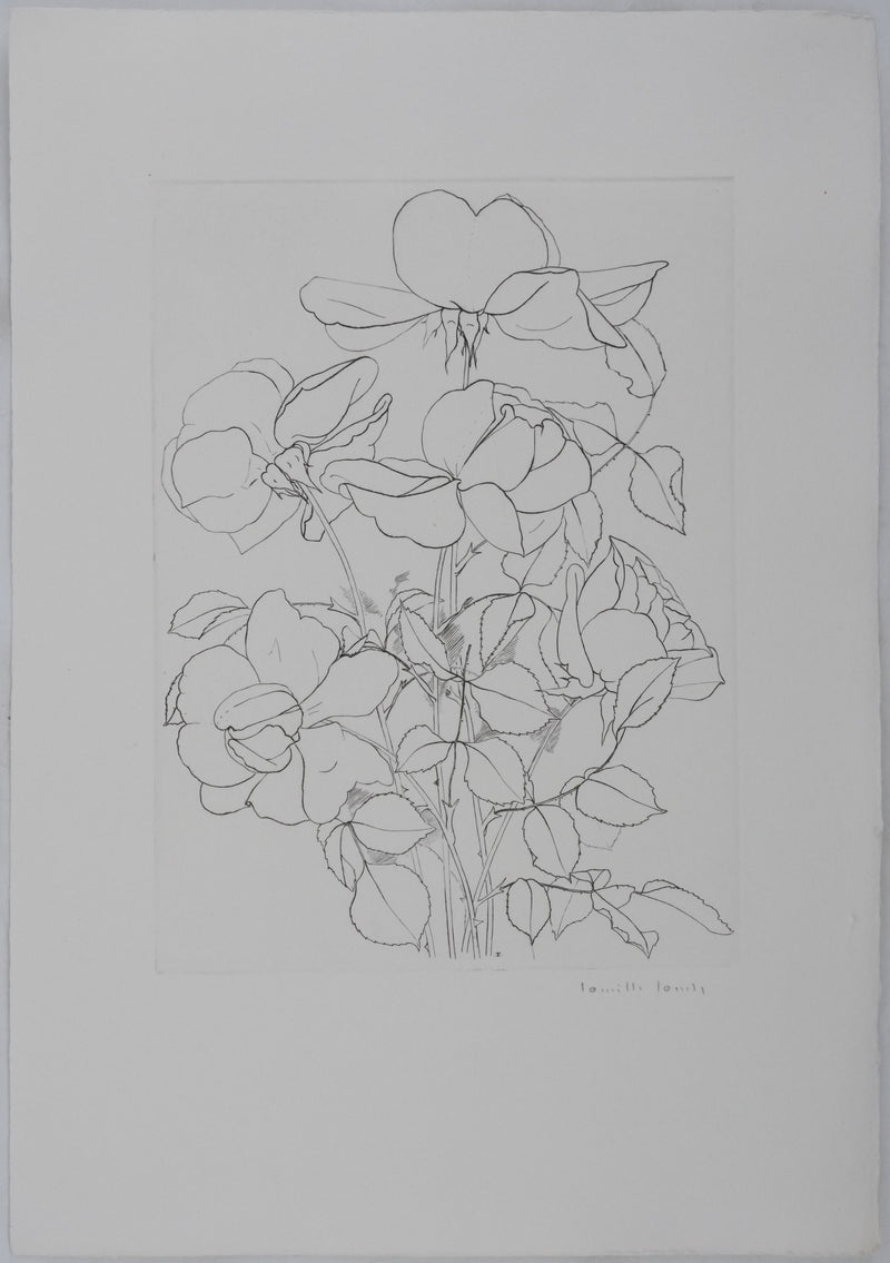 Camille COMBE : Éclats de pétales, Gravure originale signée