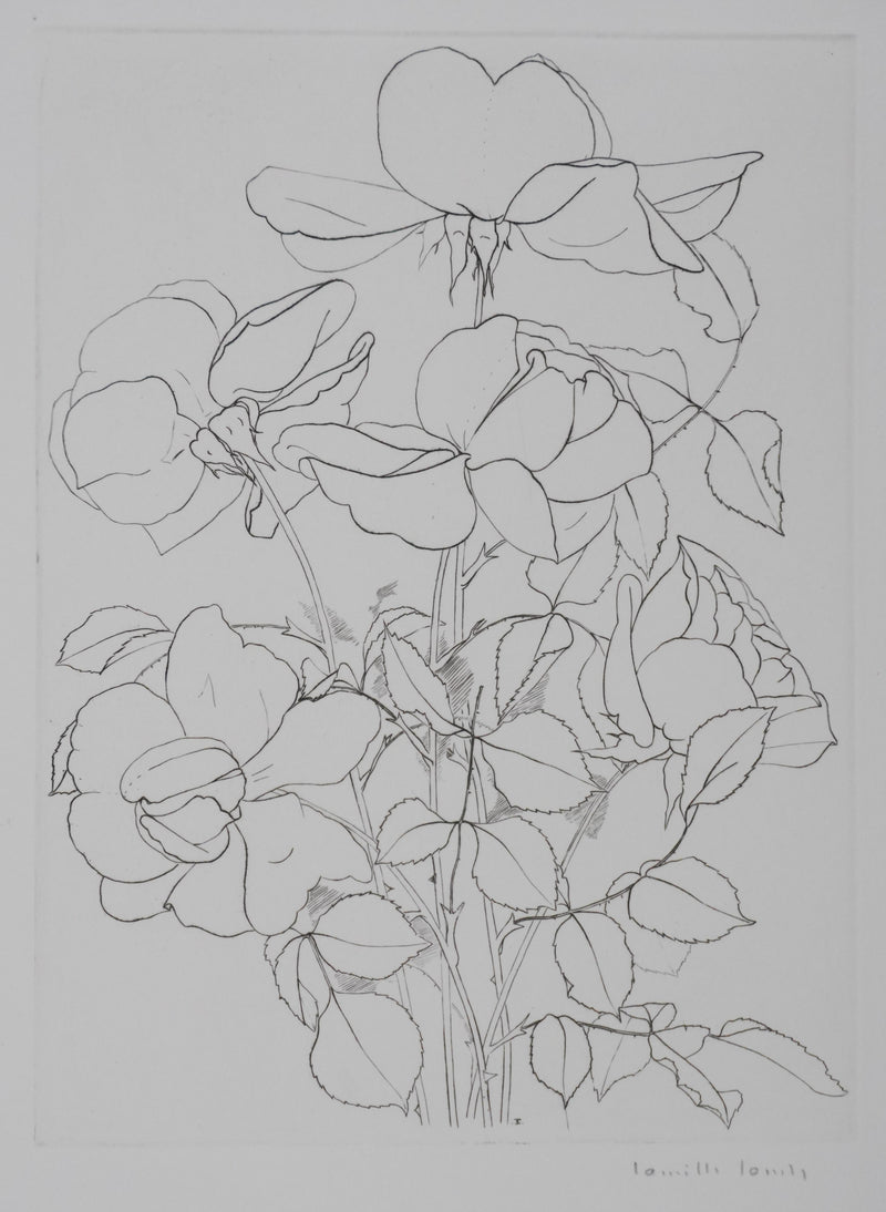 Camille COMBE : Éclats de pétales, Gravure originale signée