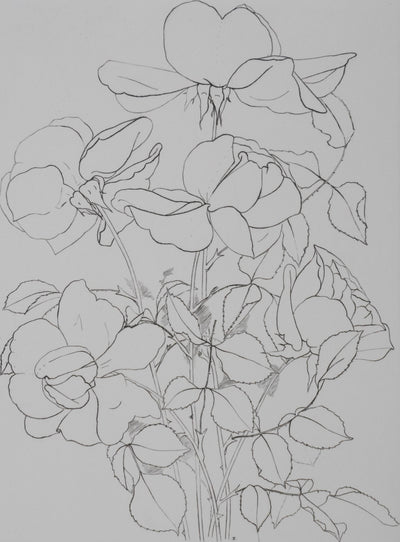 Camille COMBE : Éclats de pétales, Gravure originale signée