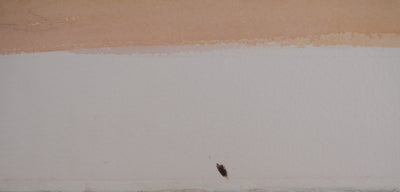 Salomon Alfred BOISECQ : Mer agitée, Aquarelle originale signée