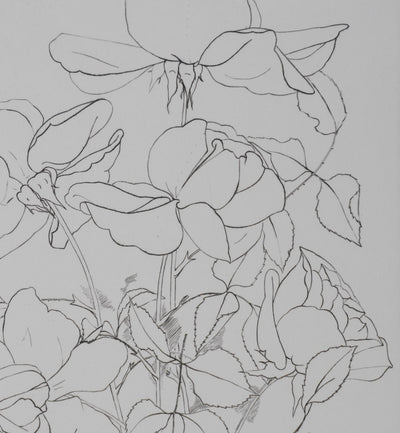 Camille COMBE : Éclats de pétales, Gravure originale signée