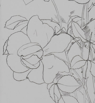 Camille COMBE : Éclats de pétales, Gravure originale signée