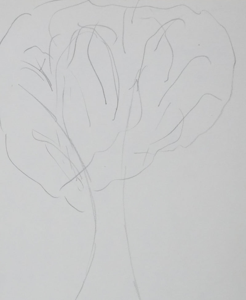 Marie-Claude HAMON : L&